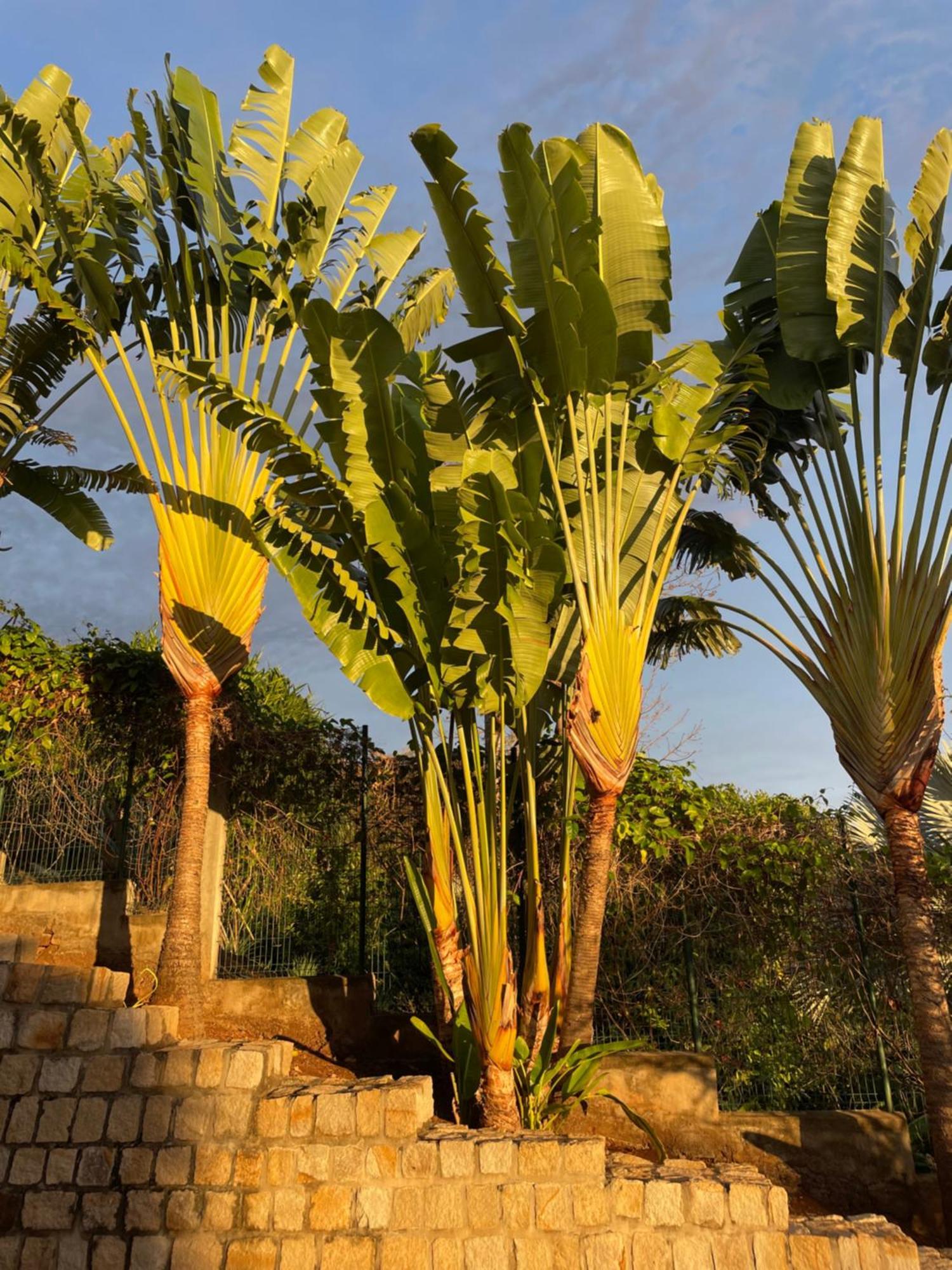 أنديلانا Lodges Cap Dore المظهر الخارجي الصورة